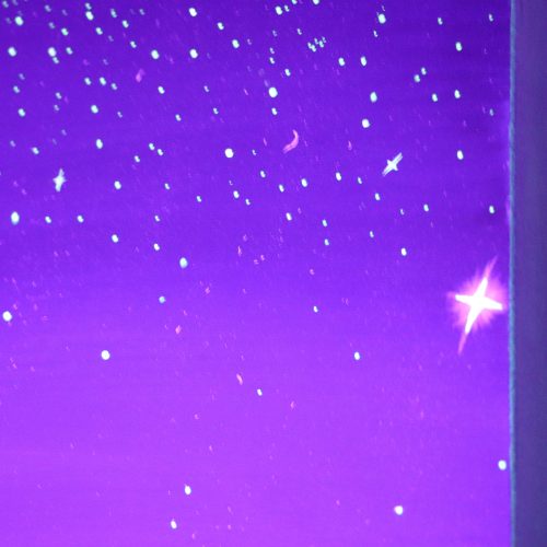 Au clair de lune – gros plan